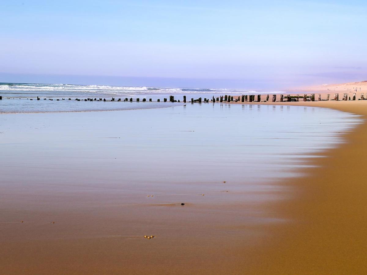 Studio Renove Face A La Dune, Proche Plage Et Commerces, Ideal Pour 2 Personnes - Fr-1-239-150 Seignosse Exteriör bild