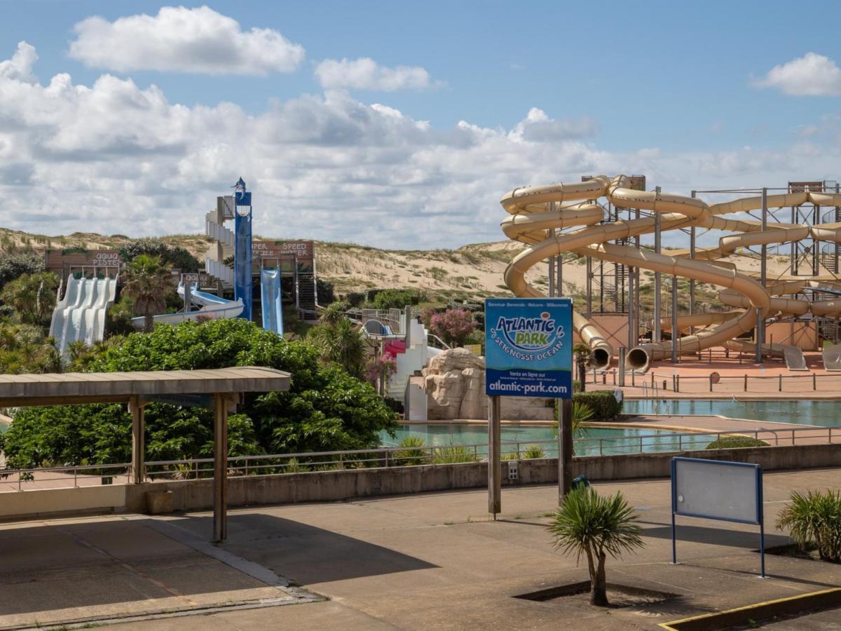 Studio Renove Face A La Dune, Proche Plage Et Commerces, Ideal Pour 2 Personnes - Fr-1-239-150 Seignosse Exteriör bild